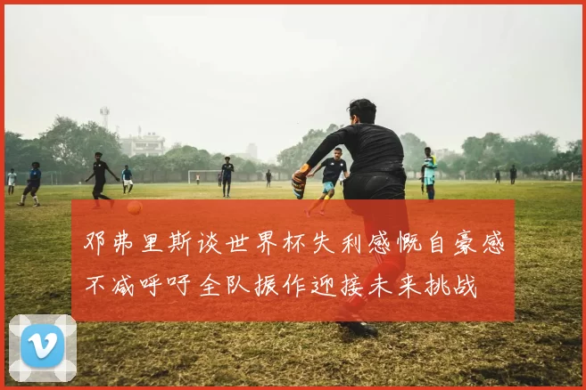 邓弗里斯谈世界杯失利感慨自豪感不减呼吁全队振作迎接未来挑战